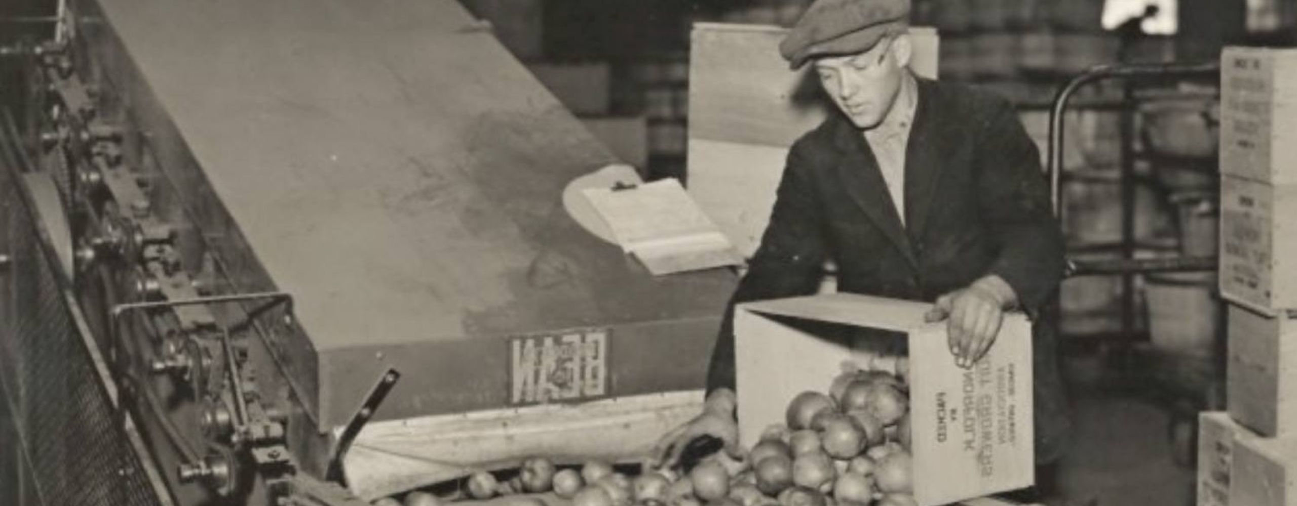 Norfolk Fruit Growers